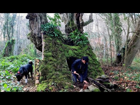 7 Days Solo Survival Camping Building Warm Bushcraft