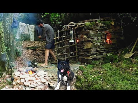 3 Days Solo Survival Camping in Rain Forest Building Warm