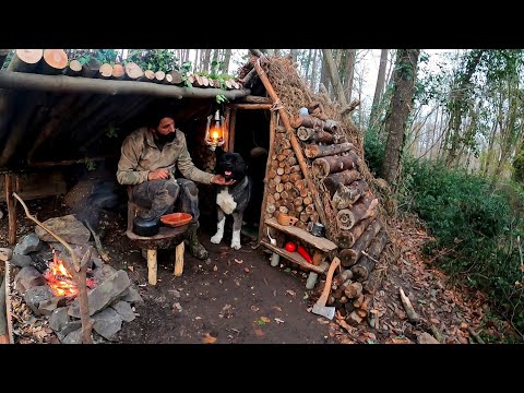 Bushcraft camp in the woods Off Grid Shelter Build Survival