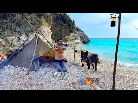 3 DAYS solo survival NO FOOD NO WATER Catch and Cook