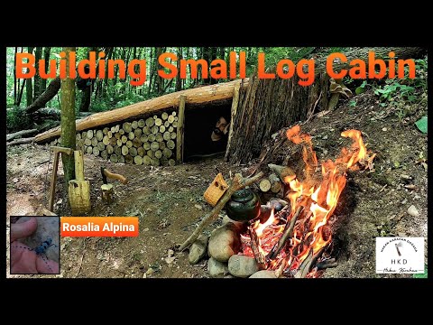 Bushcraft Shelter Camping Off Grid Cooking Survival Skills
