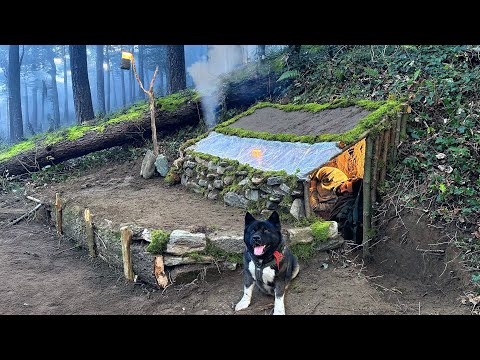 3 Days SOLO SURVIVAL CAMPING In Wilderness Building Warm