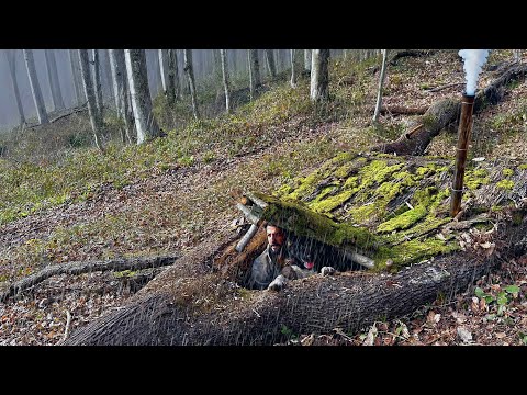 Building a SECRET SHELTER inside Big TREE Bushcraft