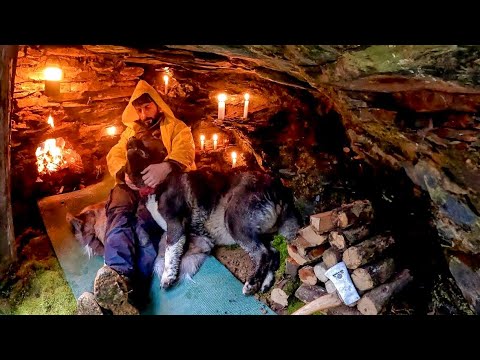 7 Days BUSHCRAFT Winter Camping in Rain Forest Build