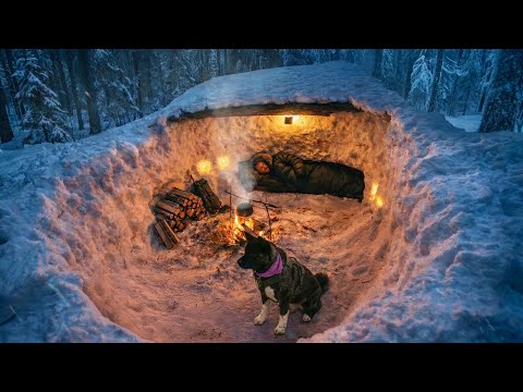 SURVIVAL in DEEP SNOW with MY DOG Extreme WINTER Camping