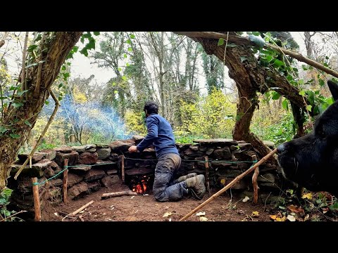7 Days Solo Survival Camping In Rain Forest Building Warm