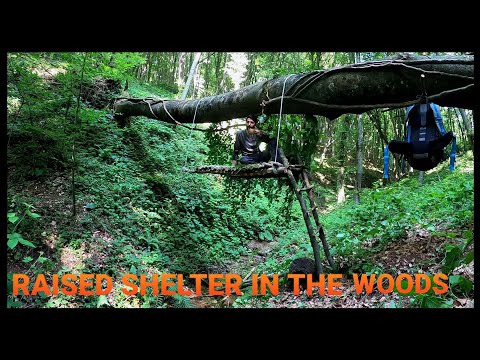 Great shelter in the woods Bushcraft solo overnight