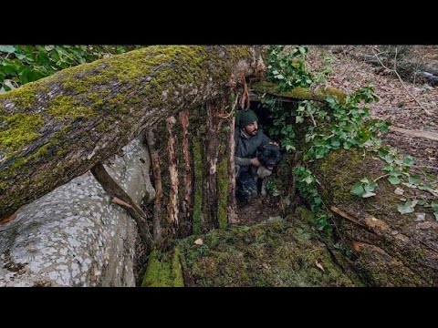3 Days Bushcraft Winter Camping in Snow with My Dog