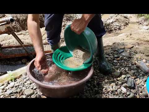 Gold Rush Continues There s Lots of Gold Worth Millions of