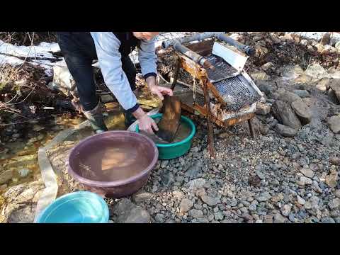 GOLD RUSH ALERT Incredible Discovery in Old Stream Bed