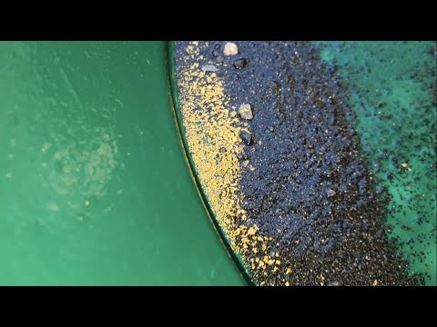 Gold Rush in a Whole New Way Tons of Gold Extracted Daily