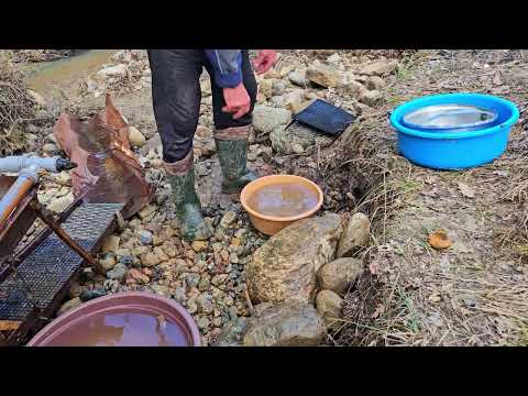 You Won t Believe What This Gold Hunting EXPERT Found in