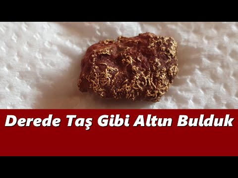 Akarsuda Derede Altın Arama Derede Taş Gibi Altın Bulduk