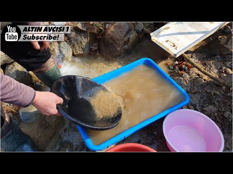 We continue to extract gold with the gold prospecting