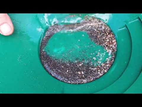 Incredible Discovery The Process Of Finding Gold İn A River
