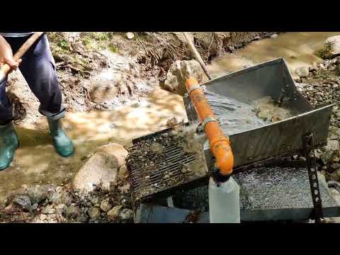 Incredible gold discovery It is possible to earn 100 a day