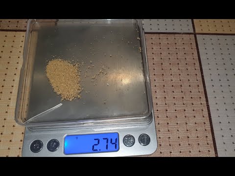 ÇİKAN ALTINLARI GRAM ÖLÇME ANI ALTINAVCISI1