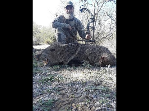 2019 Archery Javelina Hunt