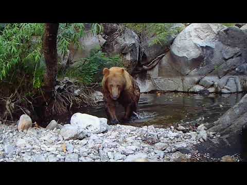 Cooling off in the Arizona Heat summer 2020
