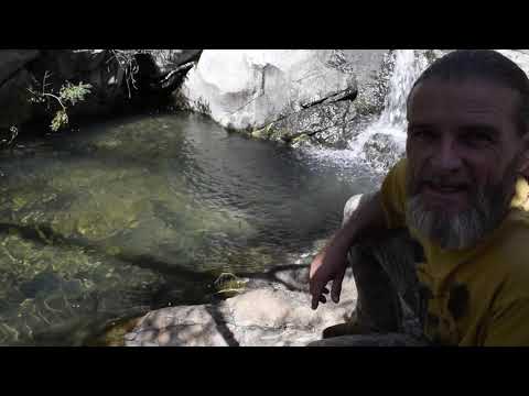Trail Cam Journey Episode 3 Predator Pool