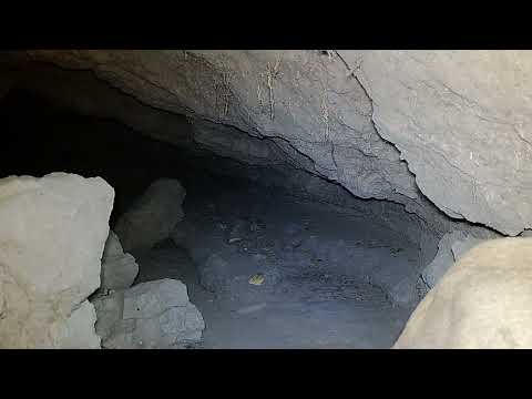 Male Female Mountain Lions at the Cave Southern Arizona