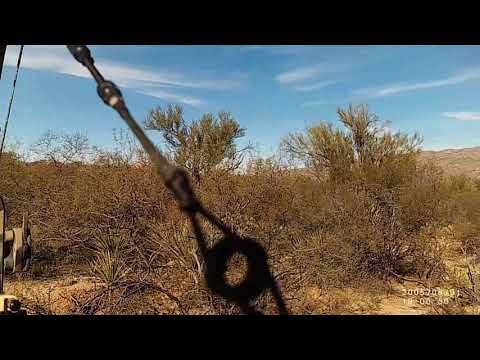 2019 Archery Javelina Hunt