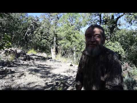 Trail Cam Journey Episode 4 Coues in the Oaks