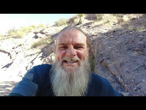 Southern Arizona Wildlife