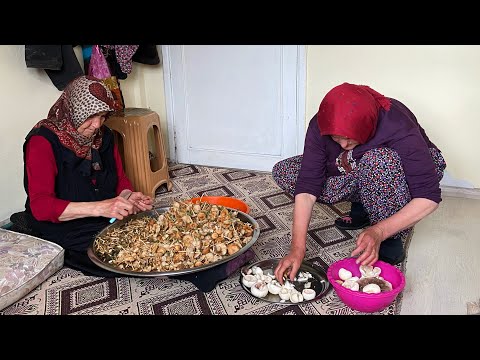 Günlük Köy Hayatı Köyde Kova Kova Mantar Topladık Köy İşleri