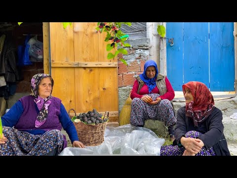 Günlük Köy İşleri Çalışkan Köy Kadınları Türkiye Köyünde
