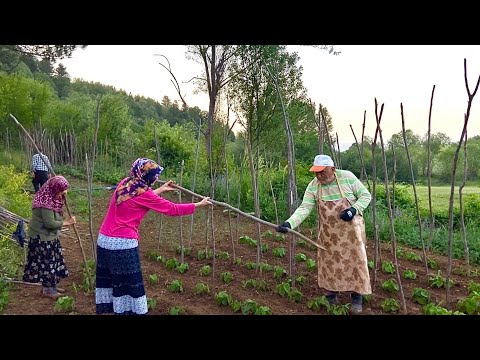 Geniş Bir Ailenin Dağ Köyünde Yaşamı Köy Hayatı Belgesel