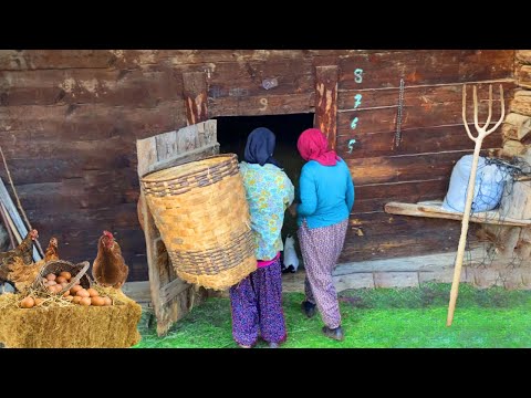 Köy Hayatı Günlük Rutin Köy İşleri Köy Belgeseli