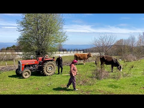 Türkiye nin Dağlarında Köy Hayatı Köyde Yaşam Belgesel