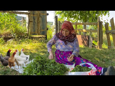 Türkiye Köyünde Yaşam Günlük Rutin Köy İşleri ve Köy Hayatı