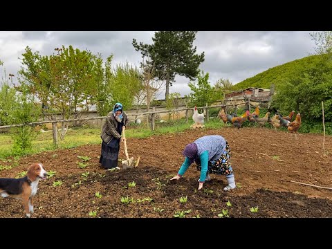 Köyün En Çalışkan Kadınları Türkiye de Köy Hayatı Köy