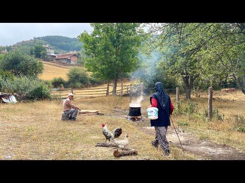 Türkiye Dağlarında Günlük Rutin Köy Hayatı Belgesel