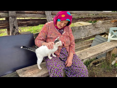 Yüksek Dağlarda Köy Hayatı Türkiye de Köy Yaşamı Belgesel