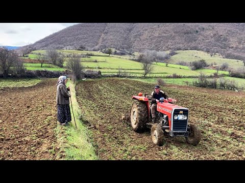 Köy Hayatı Günlük Rutin Köy İşleri Türkiye Köy Belgeseli