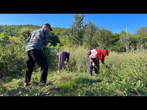 Dağ Köyündeki Bir Ailenin Zorlu Hayatı Türkiye de Günlük