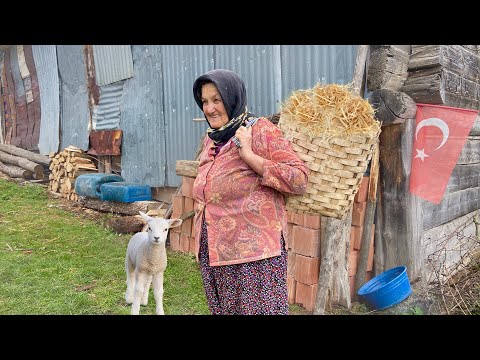 Dağ Köyünde Günlük Köy Hayatı Belgesel
