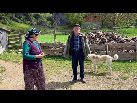 Türkiye nin Dağ Köyündeki Ailenin Zorlu Yaşamı Köy Hayatı
