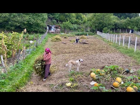 Dağlarda Köy Hayatı Köyde Kış Hazırlığı