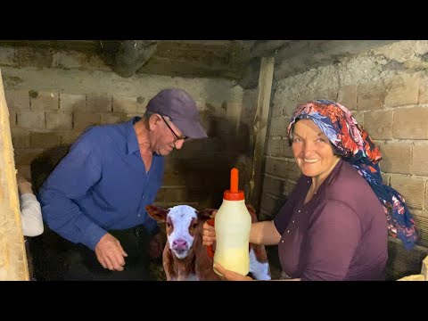 Türkiye nin Köyünde Yaşam Köy Hayatı ve Köy Belgeseli
