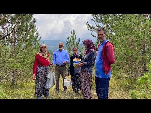 Büyük Bir Ailenin Köy Hayatı Türkiye Dağlarında Yaşam