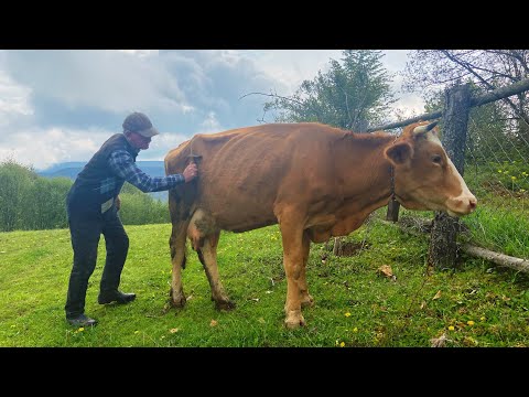 Eski Türk Köyünde Yaşam Günlük Rutin Köy Hayatı