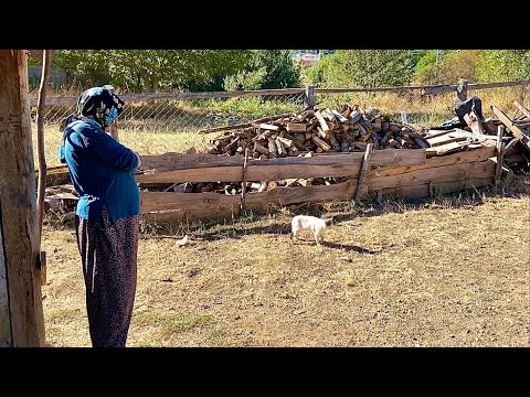 Büyük Ailenin Zorlu Köy Hayatı Türkiye Köyünde Yaşam