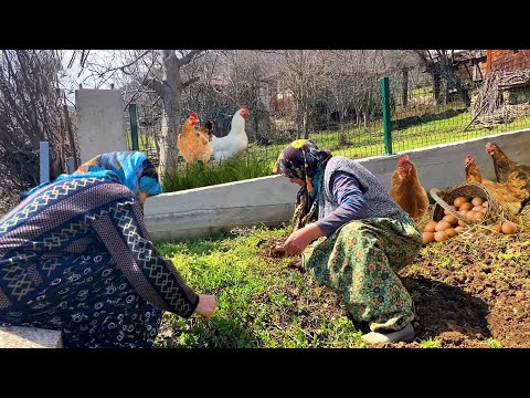 Türkiye de Köy Hayatı Günlük Köy İşleri Köy Belgeseli
