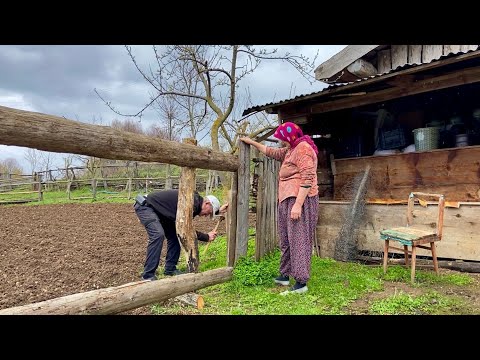 Türkiye Dağlarında Yaşlı Çiftin Zorlu Köy Hayatı Belgesel