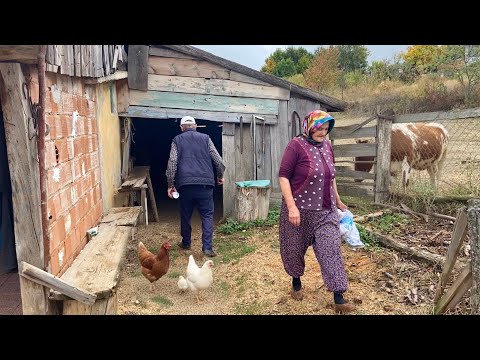 Dağlarda Günlük Köy Hayatı Belgesel