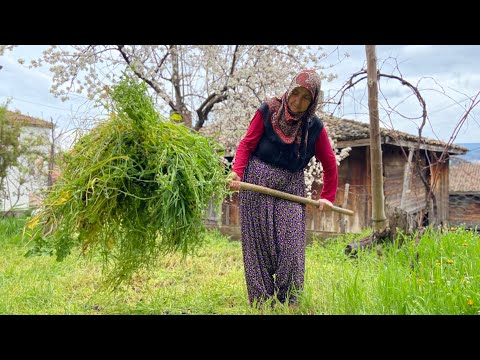 Köy Hayatı Türkiye nin Eski Köyünde Yaşam Köy İşleri